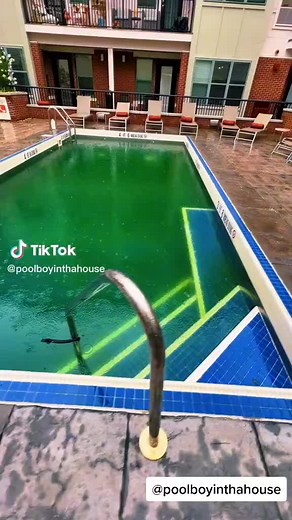 Transforming a Green Pool to Blue in Minutes!