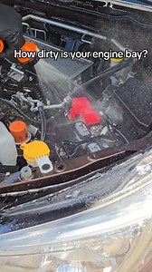 No Touch X-Treme Engine Bay Cleaner & DDE for the ultimate cleaning and detail on your Engine Bay ✨ Our No Touch Engine Bay Cleaner is a heavy duty cleaner able to rinse away the grime and grease away with out needing any scrubbing! Simply spray and rinse 💦 Our DDE adds a high luster shine to engine bay components, plastics and rubber surfaces using a water based dressing for the ultimate shine 🌟 ✅ No Touching ✅ No Scrubbing ✅ No Harsh Brushes ✅ No Wiping ✅ Easy and Quick to Use Dura-coating. 