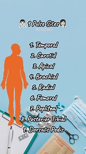 2.1K views · 21 reactions | ‍⚕️9 Pulse Sites‍⚕️ Temporal Carotid Apical Brachial Radial Femoral Popliteal Posterior Tibial Dorsalis Pedis #nursing #nursingquiz #nurses #nursingschool #fbreels #reelsvideo #reelsfb #reelsviral #foryoupagе #fyp #nursetobe #futurenurse #reels #quiz | Flo Nurse Nightingale | Facebook