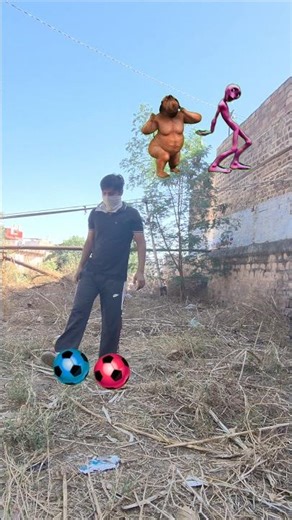 Fatty dog, domi tu cosita alien, dancing frog & jocker - cute brothers magical vfx 😛😀