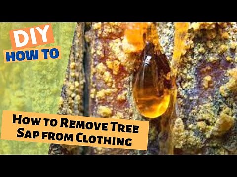 How to Remove Tree Sap from Clothing