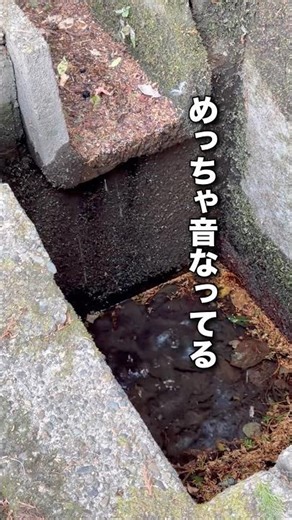 こんな音なるもん？