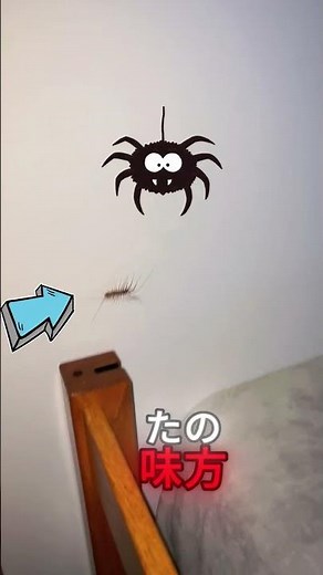 これを殺さないでください 😨