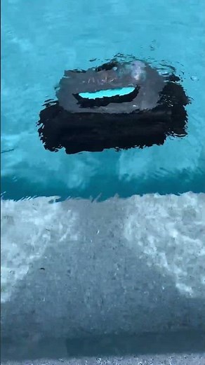 Aiper Seagull Pro | Cordless Convenience for Effortless Pool Maintenance! 🏊‍♂️🤖