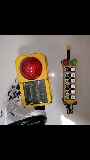 Wireless Radio Remote Control for Hoist Crane