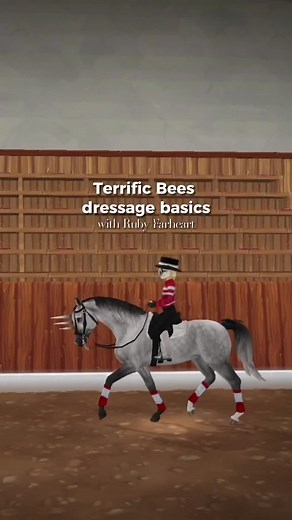 Soothing SSO Dressage Video | Horse Riding Beauty