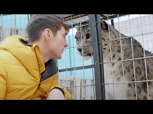 Snow Leopards: Ghosts in the Snow (Full Episode) | Part 2 | BBC Earth