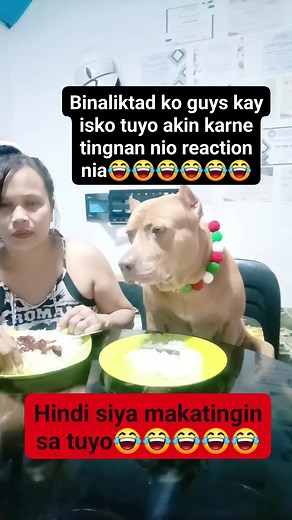 1.2M views · 51K reactions | Tulala kana naman Ng maramdaman mo rin minsan #furmomlife #highlightseveryone #iskotheviralpitbull #followers #friends #highlights | Iskonatics | Facebook