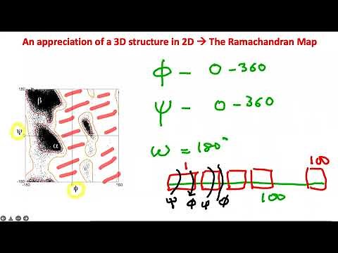 Secondary Strcuture of Proteins: Ramachandran Plot - Part 1
