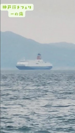 【#Anordinarysea】☕No.136 #名門大洋フェリー ⤵️ニュースは概要欄 #フェリー 2026年7月31日