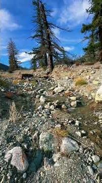 Going to look for gold next time I’m here! Lytle Creek, California