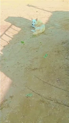 Lomar #dj #electronicmusic #music #housemusic #edm #alahazratkalambyowaisrazaqadri