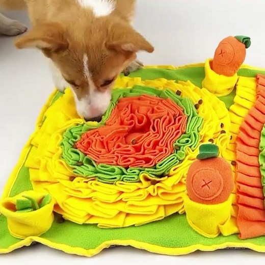 Slow Down, Chow Down: The Health Benefits of Using a Snuffle Mat as a Dog Slow Feeder
