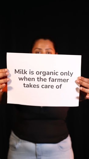 What makes milk organic 🤔 there are three things that determine if milk is organic. > How the cow lives > What she eats > How milk is produced Well-cared-for cows roam freely without growth hormones, producing milk free from contaminants. Organic fodder grown in-house eliminates pesticides and harmful fungi, ensuring pure milk. Milking without human touch and maintaining a cold chain from farm to home keeps the milk uncontaminated and nutrient-rich. Come visit our farms to see how milk is organ