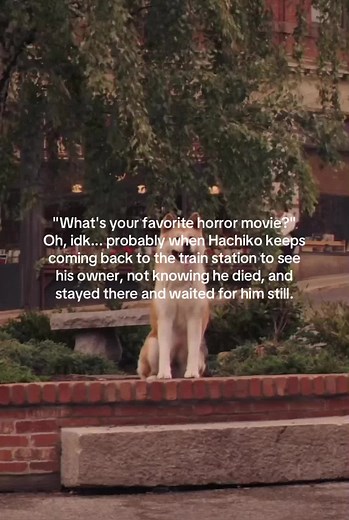 The Heartbreaking Tale of Hachiko the Dog