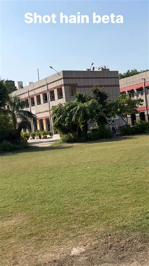 Kids cricket match #cricket #cricketlovers #cricketerlife #cricketerlife #cricketacademy #meta #creator #cricketfans #CricketFever | cricket_training12