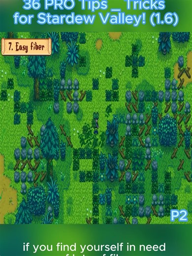 smashgame207 on TikTok