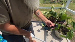 Watch Clean up and wash with this easy to use power washer on Amazon Live