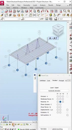 Reading Results using Panel Cuts in Robot Structural Analysis #shorts