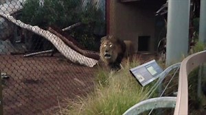 151K views · 3.9K reactions | Pro tip: Heed the warning sign. Do you have a spray story? We'd love to hear it. (video by Mollie Rivera) | San Diego Zoo | Facebook