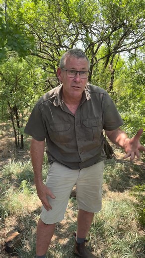 4.5K views · 172 reactions | The conservation of big cats is challenging - but so important to ensure the future of this species! | Ivan Carter | Facebook