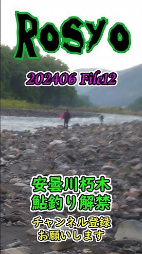安曇川朽木鮎釣り探訪 2024解禁 File12 202406 ショートバージョン #Shorts