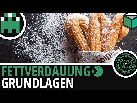 Fat digestion simply explained│Biology learning video [Learning Level Up]