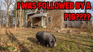 I Found a Pig in This Old Abandoned Time Capsule House
