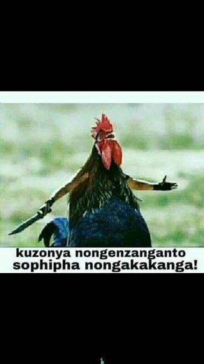 Mbusie Shange (@mbusie_shange)’s videos with Sister Bethina - Mgarimbe