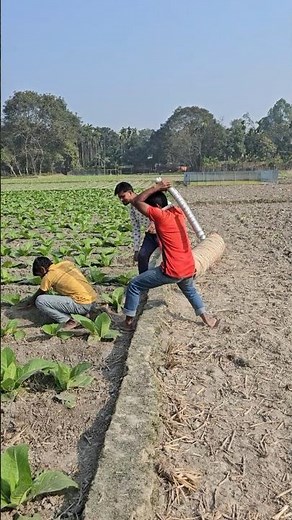 Two people were walking along the sidewalk.