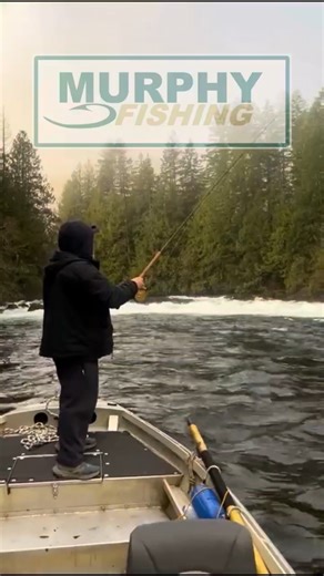 Stamp River Steelhead Fishing