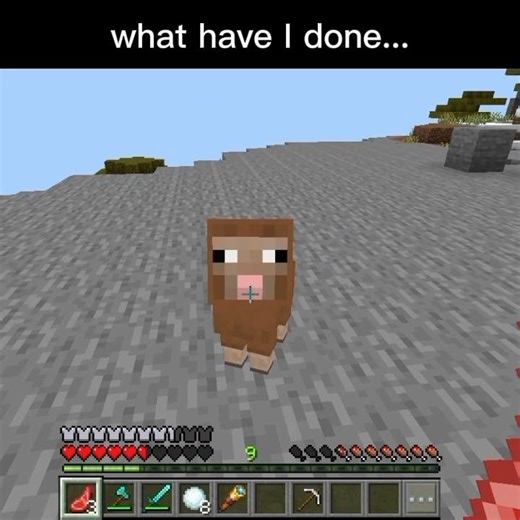 what have I done 😭#minecraft #minecraftgaming