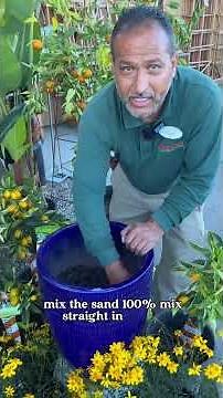 Easy Steps to Plant Kumquats at Home