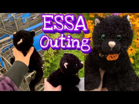 ESSA Outing! Bringing my Webkinz with me to do gig work at Walmart and delivery driving