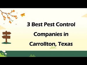 3 Best Pest Control Companies in Carrollton, Texas | Pest Extermination