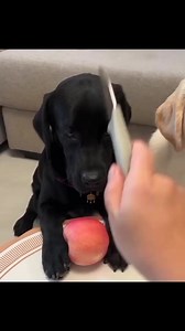 125K views · 1K reactions |  | Fish Bowl | Facebook