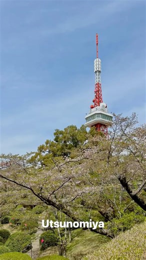 If You Haven’t Been to Utsunomiya Yet