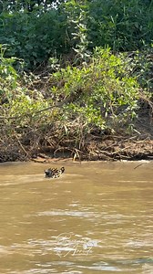 1.5M views · 52K reactions | vs Mas um ataque dela, Ti . . ....