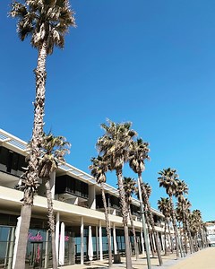 Les 7 lieux incontournables à visiter dans la ville de Sète