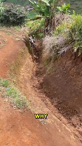 26K views · 25 reactions | Brave Biker Takes On Narrow Dirt Path #Adventure #BikingSkills #Transport | Fatafatnews | Facebook