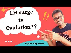 LH peak/ LH surge is essential for ovulation. WHY??