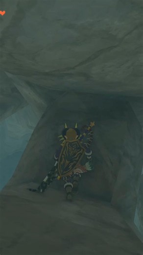 I wonder where the Korok is... | Legend of Zelda: Tears of the Kingdom