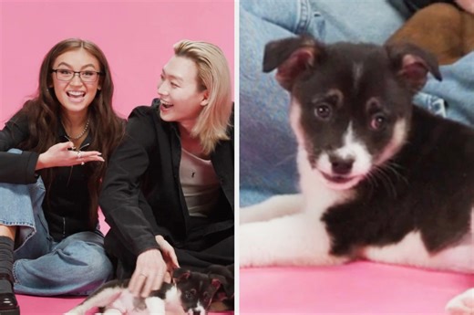 Anna Cathcart and Sang Heon Lee answer a bunch of "XO, Kitty" questions, and more, while playing with puppies