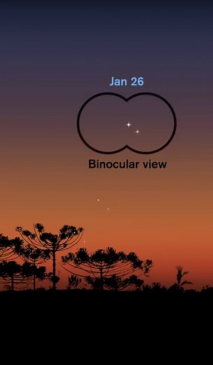 10K views · 114 reactions | Look up!  This year, we’re rolling out both Northern and Southern hemisphere sky charts. While some star groups remain hidden in the southern hemisphere, new constellations like the southern crux take center stage. #NightSky #Constellations #Stars #Space #Astronomy | Museum of Science, Boston | Facebook