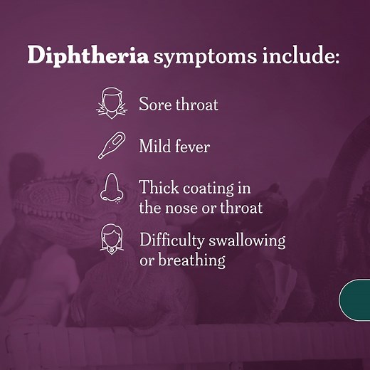 Diphtheria isn't a giant lizard. It's a contagious bacterial infection of the nose and throat and can cause serious complications. It's also especially life-threatening to young children. Symptoms include: • Sore throat • Mild fever • Thick coating in the nose or throat • Difficulty swallowing or breathing Keeping your child up to date with recommended vaccines helps protect them. Get more information about diphtheria here: https://bit.ly/3L1i6Ph | CDC
