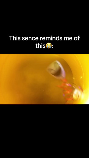 Exploring TADC Episode 6: Insights and Highlights