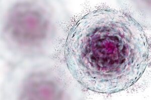 Mesenchymal Stem Cells (MSC) Therapy - Biotherapy International