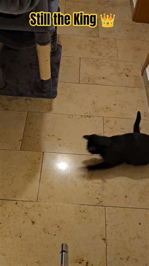 The Ultimate Nemesis