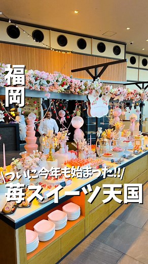 ナオヤ🏄‍♂️🌊【福岡・九州・海外旅行】 on Instagram: "正直ここどう思う？👇 【行きたい🔥】or【迷う👀】コメントで教えて!! ついに今年も始まった!!🎉 まるで夢の世界のような可愛い苺たちが集まる 食べ放題のスイーツ天国🍓🍰 幻想的なで可憐な世界観「エンジェルコア」を取り入れた👼 いちごをたっぷりと使用したスイーツと 天使や羽をモチーフにした装飾が可愛くて 空間にいるだけでテンションが上がるここでは... ひときわ目を引くショートケーキ「エンジェルズ キス」や🍰 ハート型のマカロンに天使の羽をイメージした ホワイトチョコレートフレークをあしらった 「ラファエルの秘宝」など👼 約20種類のいちごスイーツが満足するまで食べ放題🤤🤤 耽美的で儚げな世界観に没入しながら楽しめる このスイーツ体験は週末のデートにもおすすめだよ✨ 料金はこちら👇 💰大人 5,200円 💰6〜12歳 3,500円 ※学生(13歳以上)は公式ホームページからの予約と学生証を提示で500円割引 今回行ったスポットはこちら👇 📍Strawberry Heven〜いちご