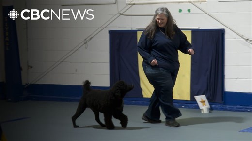 Rally obedience training gives dogs real life skills